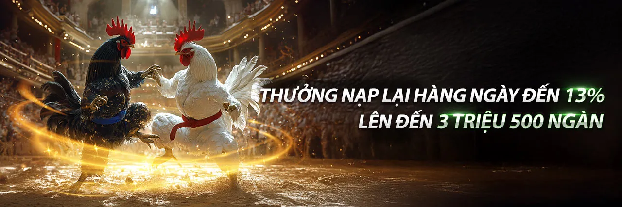 Đá gà trực tuyến tại cf789 win với những trận đấu sôi động và cơ hội thắng lớn